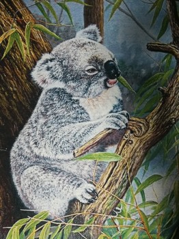 коала ― ИГРУШКИ И СУВЕНИРЫ ОПТОМ В НОВОСИБИРСКЕ