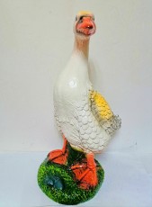 Гусь средний